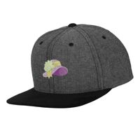 Chambray-suede snapback (6089CH) Vignette