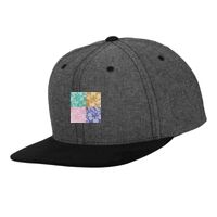 Chambray-suede snapback (6089CH) Vignette
