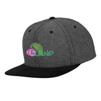 Chambray-suede snapback (6089CH) Vignette