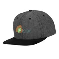 Chambray-suede snapback (6089CH) Vignette