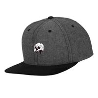 Chambray-suede snapback (6089CH) Vignette