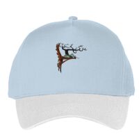 Classic 5-panel snapback (6007) Vignette