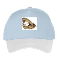 Classic 5-panel snapback (6007) Vignette