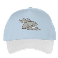 Classic 5-panel snapback (6007) Vignette