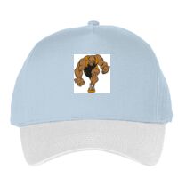 Classic 5-panel snapback (6007) Vignette