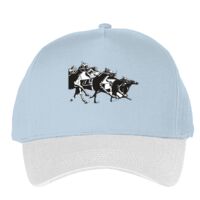 Classic 5-panel snapback (6007) Vignette