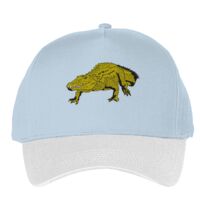 Classic 5-panel snapback (6007) Vignette