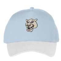 Classic 5-panel snapback (6007) Vignette