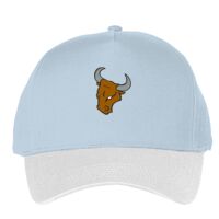 Classic 5-panel snapback (6007) Vignette