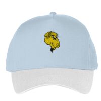 Classic 5-panel snapback (6007) Vignette