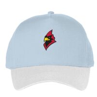 Classic 5-panel snapback (6007) Vignette