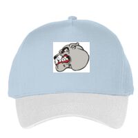 Classic 5-panel snapback (6007) Vignette