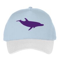 Classic 5-panel snapback (6007) Vignette