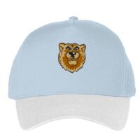 Classic 5-panel snapback (6007) Vignette