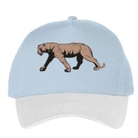 Classic 5-panel snapback (6007) Vignette