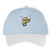 Classic 5-panel snapback (6007) Vignette