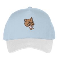 Classic 5-panel snapback (6007) Vignette