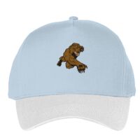 Classic 5-panel snapback (6007) Vignette