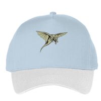 Classic 5-panel snapback (6007) Vignette