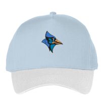 Classic 5-panel snapback (6007) Vignette