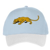 Classic 5-panel snapback (6007) Vignette