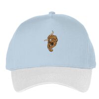 Classic 5-panel snapback (6007) Vignette