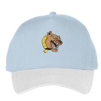 Classic 5-panel snapback (6007) Vignette