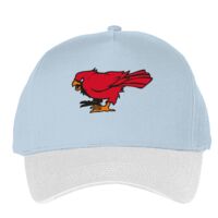 Classic 5-panel snapback (6007) Vignette