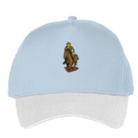 Classic 5-panel snapback (6007) Vignette