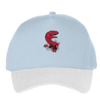 Classic 5-panel snapback (6007) Vignette