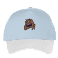 Classic 5-panel snapback (6007) Vignette