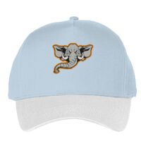 Classic 5-panel snapback (6007) Vignette