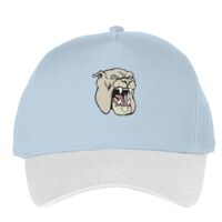 Classic 5-panel snapback (6007) Vignette