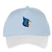 Classic 5-panel snapback (6007) Vignette