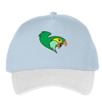 Classic 5-panel snapback (6007) Vignette