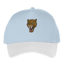 Classic 5-panel snapback (6007) Vignette