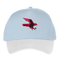 Classic 5-panel snapback (6007) Vignette