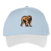 Classic 5-panel snapback (6007) Vignette