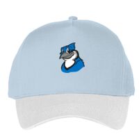 Classic 5-panel snapback (6007) Vignette