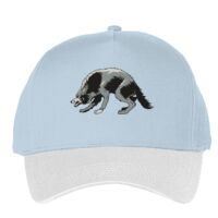 Classic 5-panel snapback (6007) Vignette