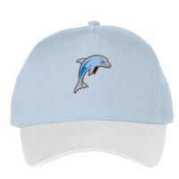 Classic 5-panel snapback (6007) Vignette