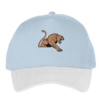 Classic 5-panel snapback (6007) Vignette