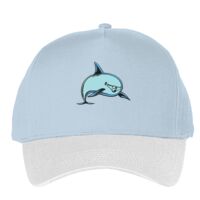 Classic 5-panel snapback (6007) Vignette