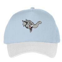 Classic 5-panel snapback (6007) Vignette