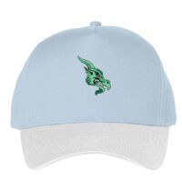 Classic 5-panel snapback (6007) Vignette