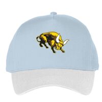 Classic 5-panel snapback (6007) Vignette