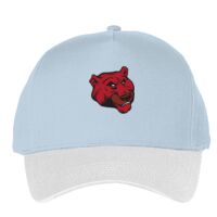 Classic 5-panel snapback (6007) Vignette