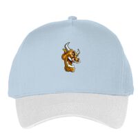 Classic 5-panel snapback (6007) Vignette