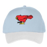 Classic 5-panel snapback (6007) Vignette