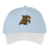 Classic 5-panel snapback (6007) Vignette